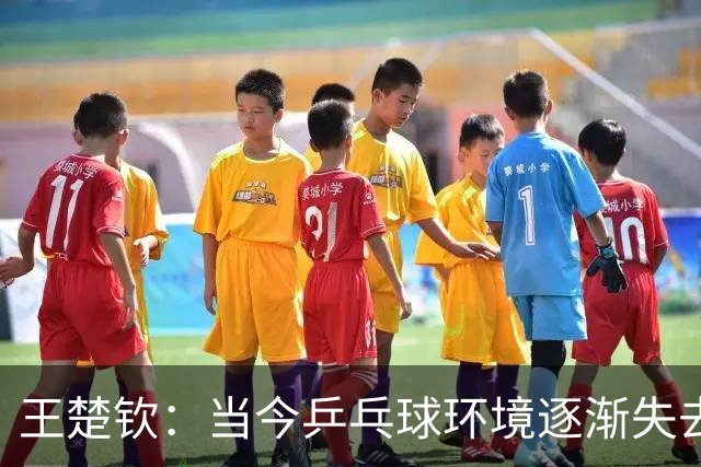 王楚钦：当今乒乓球环境逐渐失去纯粹，仿佛在慢性耗损我的力量